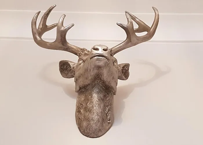 Bismarck-apartment Apartamento *